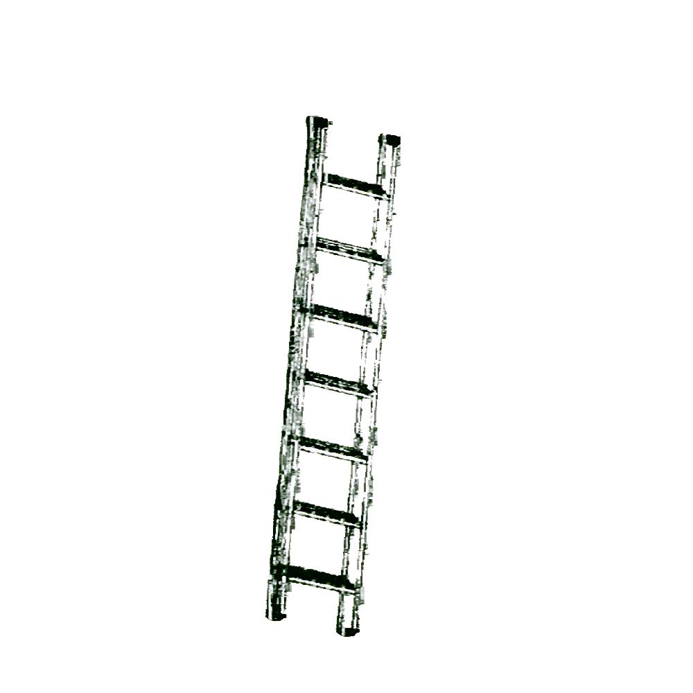Ladder with Round/Flat Steps